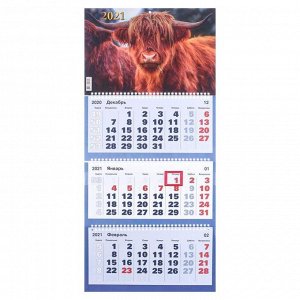 Календари квартальные трио "Символ года, 2021-9" 31 х 69 см