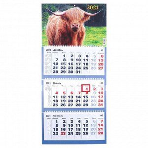 Календари квартальные трио "Символ года, 2021-8" 31 х 69 см