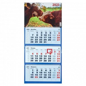 Календари квартальные трио "Символ года, 2021 - 12" 31 х 69 см
