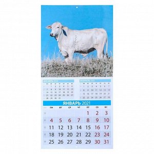 Календарь перекидной на скрепке "Символ года. Вид 1" 2021 год, 285х285 мм