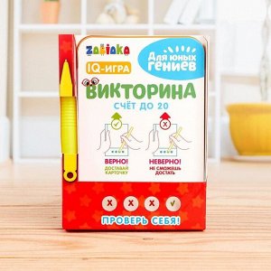 Викторина с ручкой «Счёт до 20», 60 заданий