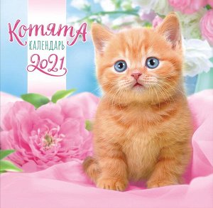 БОЛЬШОЙ перекидной настенный календарь на скрепке на 2021 год "Котята"