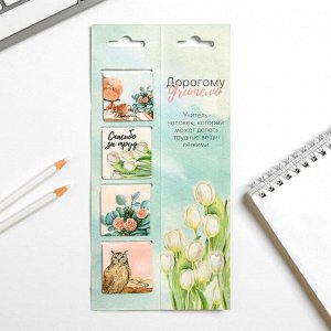 Art Fox Магнитные закладки для книг в открытке «Дорогому учителю!», 4 шт