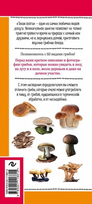 Куценко М. Грибы русских лесов и полей