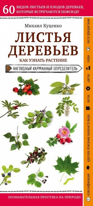 Куценко М. Листья деревьев. Как узнать растение