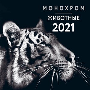 Монохром. Животные. Календарь настенный на 2021 год (300х300 мм)