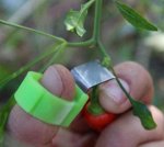 Режущее кольцо для сбора урожая