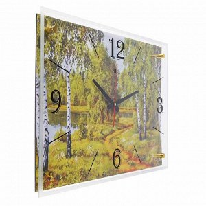 Часы настенные, серия: Природа, "Лесная дорога", 40х56  см, микс