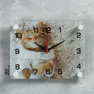 Часы настенные, серия: Животный мир, "Мур-Мур", 20х26 см