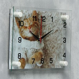 Часы настенные, серия: Животный мир, "Мур-Мур", 20х26 см, в ассортименте