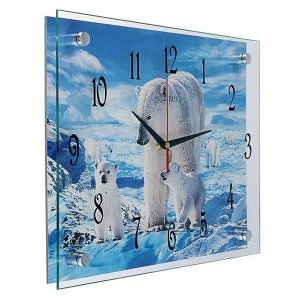 Часы настенные, серия: Животный мир, "Белые медведи", 30х40  см, в ассортименте