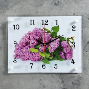 Часы настенные, серия: Цветы, "Сирень", плавный ход, 30 х 40 см
