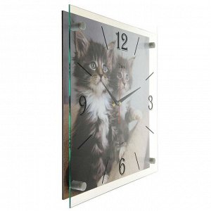 Часы настенные, серия: Животный мир, "Котята", 35х35 см, микс