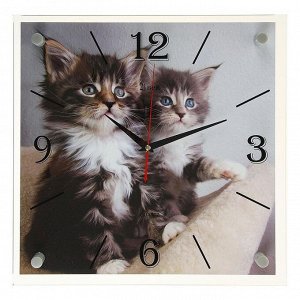 Часы настенные. серия: Животный мир. "Котята". 35х35  см. микс