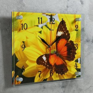 Часы настенные, серия: Животный мир, "Бабочка на гербере", 30х40  см, микс