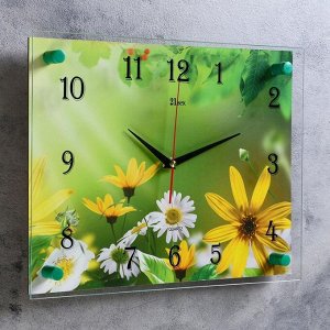 Часы настенные, серия: Цветы, "Ромашки", 30х40 см микс