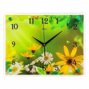 Часы настенные, серия: Цветы, "Ромашки", 30х40 см в ассортименте