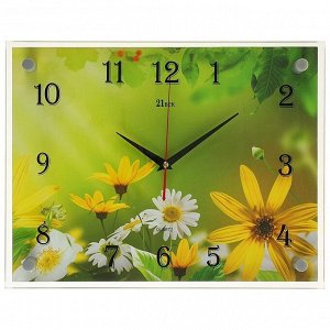 Часы настенные, серия: Цветы, "Ромашки", 30х40 см в ассортименте