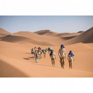 DECATHLON Брюки для треккинга в пустыне женские DESERT 500 FORCLAZ