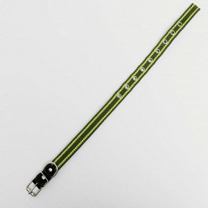 Ошейник брезентовый безразмерный двухслойный, 50 х 2 см, ОШ 22-45 см, хаки/зелёный
