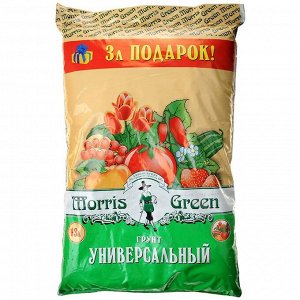 Грунт Универсальный MORRIS GREEN 13л (1/1)