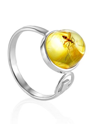 Необычное кольцо из серебра и янтаря с включением насекомого «Клио», 006308005