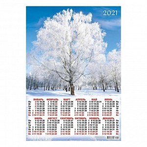 Календарь листовой А2 "Природа - 2021 - 222"