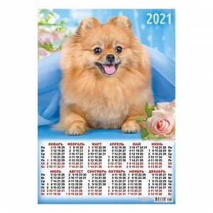 Календарь листовой А2 "Собаки - 2021 - 342"