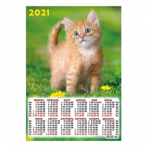 Календарь листовой А3 "Коты - 2021 - 303"