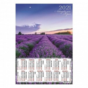Календарь листовой А3 "Природа - 2021 - 205"