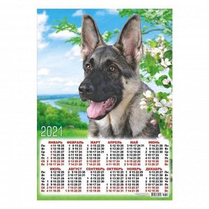 Календарь листовой А3 "Собаки - 2021 - 344"