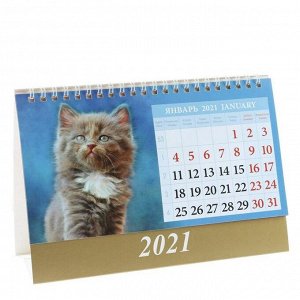 Календарь домик "Котята" 2021год, 20х14 см