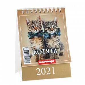 Календарь настольный, домик "Котята" 2021 год, 10х14 см