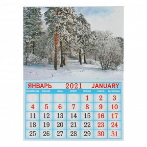Календарь на магните, отрывной "Начало лета" 2021 год, 10х13 см