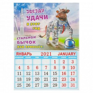 Календарь на магните, отрывной "Не напрягайся" 2021 год, 10х13 см