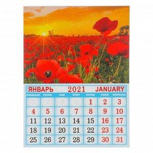 Календарь на магните, отрывной "Полевые цветы" 2021 год, 10х13 см