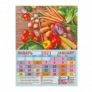 Календарь на магните, отрывной "Садово-огородный" 2021 год, 10х13 см