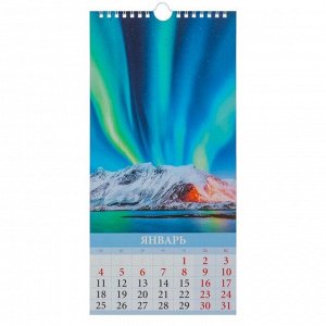 Календарь настенный перекидной, на ригеле "Времена года" 2021 год, 16,5х33,6 см