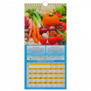 Календарь настенный перекидной, на ригеле "Садово-огородный лунный" 2021 год, 16,5х33,6 см