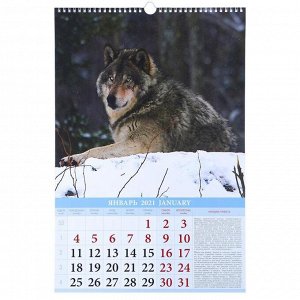 Календарь перекидной на ригеле "Календарь охотника" 2021 год, 320х480 мм