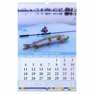 Календарь перекидной на ригеле "Календарь рыболова" 2021 год, 320х480 мм