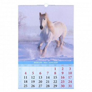 Календарь перекидной на ригеле "Лошади" 2021 год, 320х480 мм