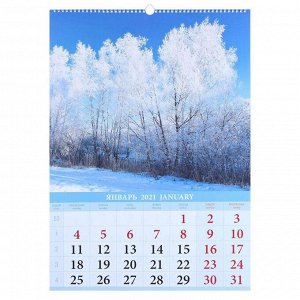 Календарь перекидной на ригеле "Природа России" 2021 год, 42х60 см