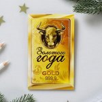 Блокнот денежный «Золотого года», 24л, 13х8см