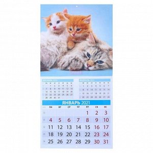 Календарь перекидной на скрепке "Кошки и котята" 2021 год, 285х285 мм