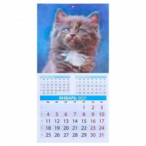 Календарь, перекидной, скрепка "Котята" 2021 год, 22,5х22,5 см