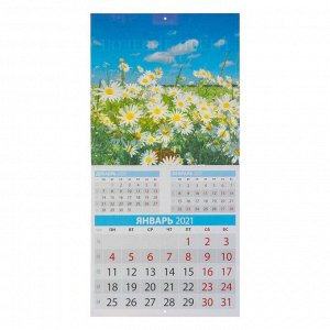 Календарь, перекидной, скрепка "Полевые цветы" 2021 год, 28,5х28,5 см