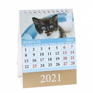 Календарь настольный, домик "Котята" 2021 год, 10х14 см
