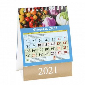 Календарь настольный, домик "Сад и огород. Лунный календарь" 2021 год, 10х14 см