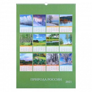 Календарь перекидной на ригеле "Природа России" 2021 год, 42х60 см